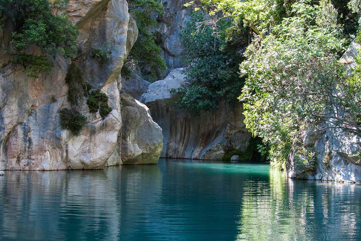 Beautiful scene of aquamarine water and greenery