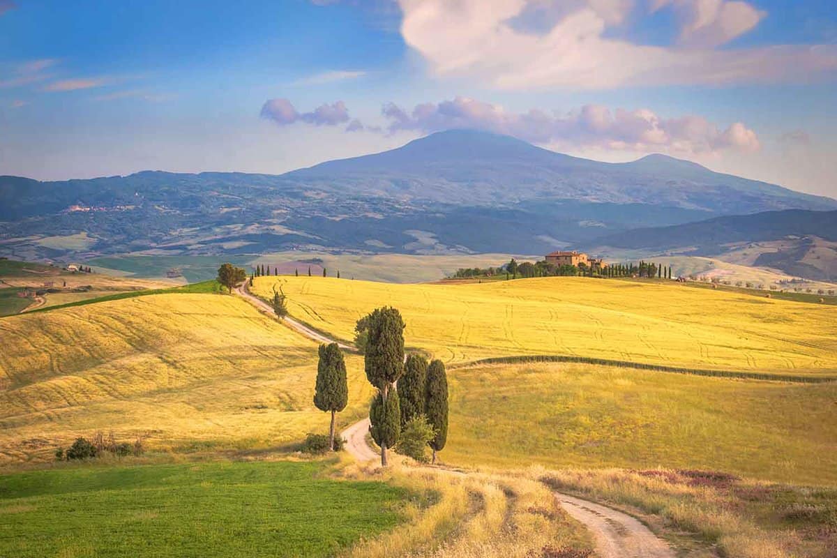 Walk from Montalcino to Sant Antimo
