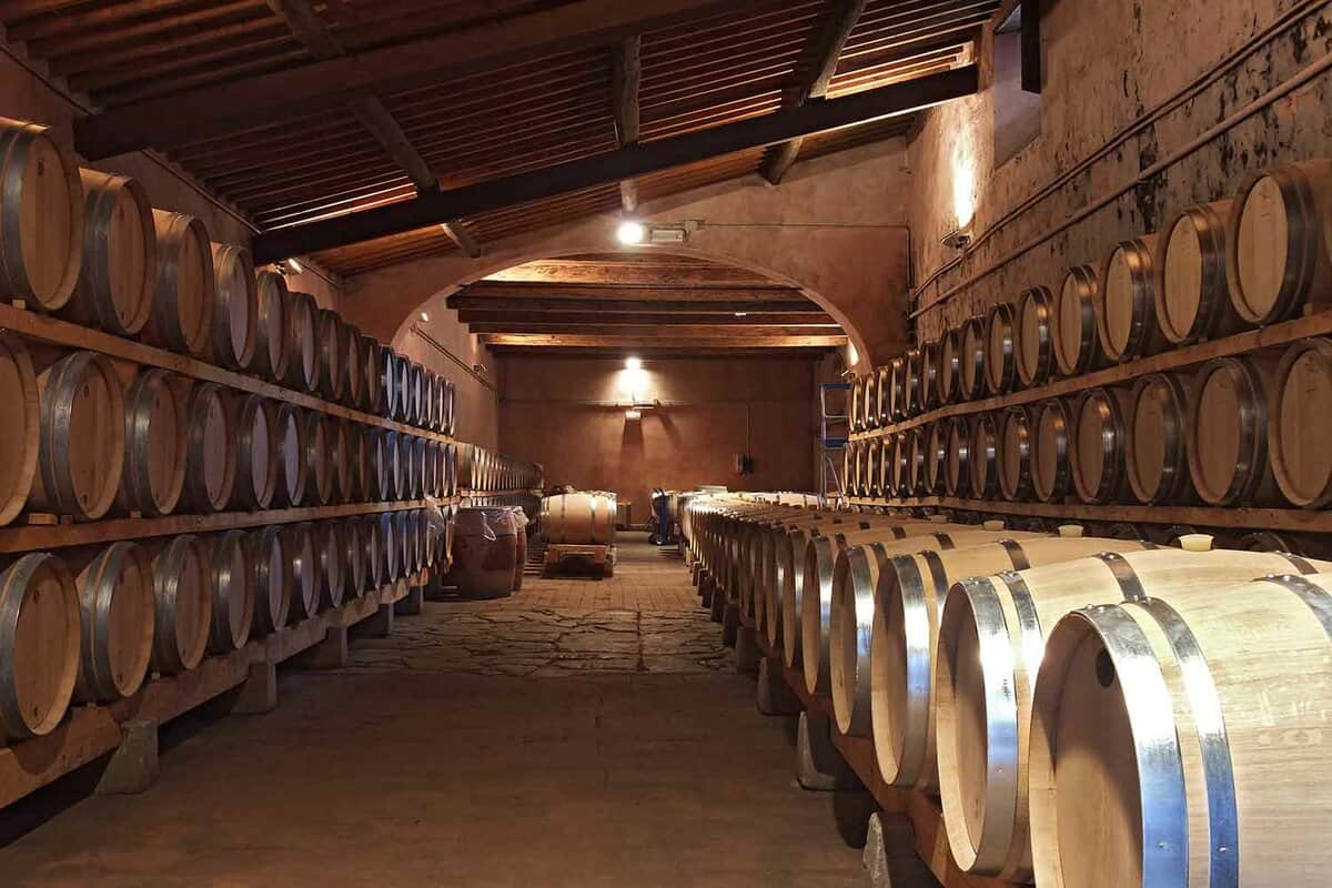A wine cellar full of barrels of wine