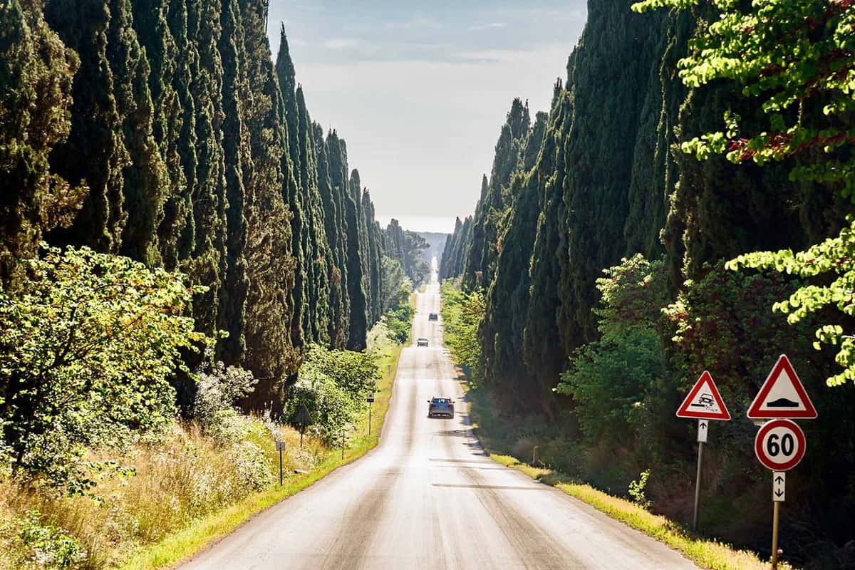 Road with cypresses in tuscany in the town of Bolgheri in the coast of Etruscans in Maremma