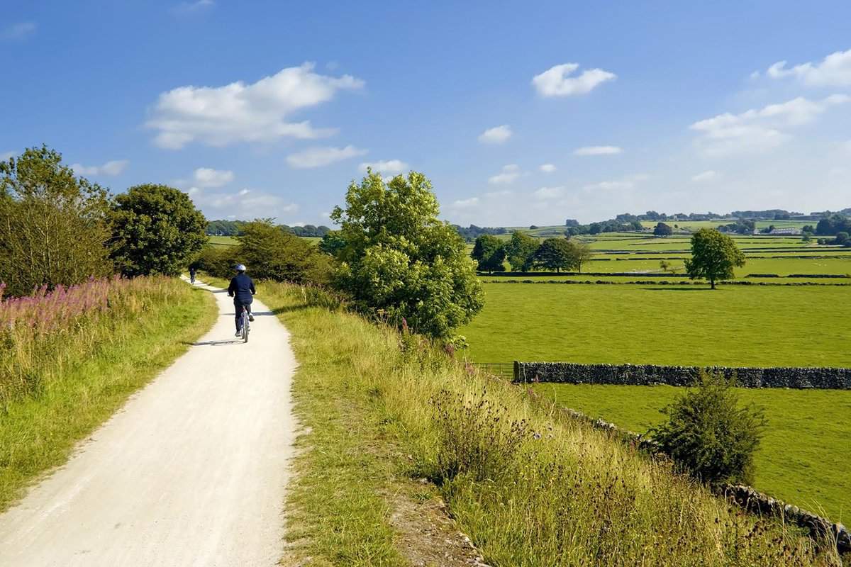 A man cycling down a pathway surrounded by fields.