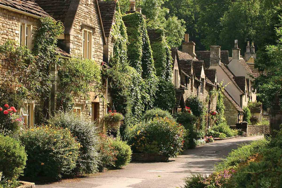 A row of old-fashioned houses covered in shrubbery.