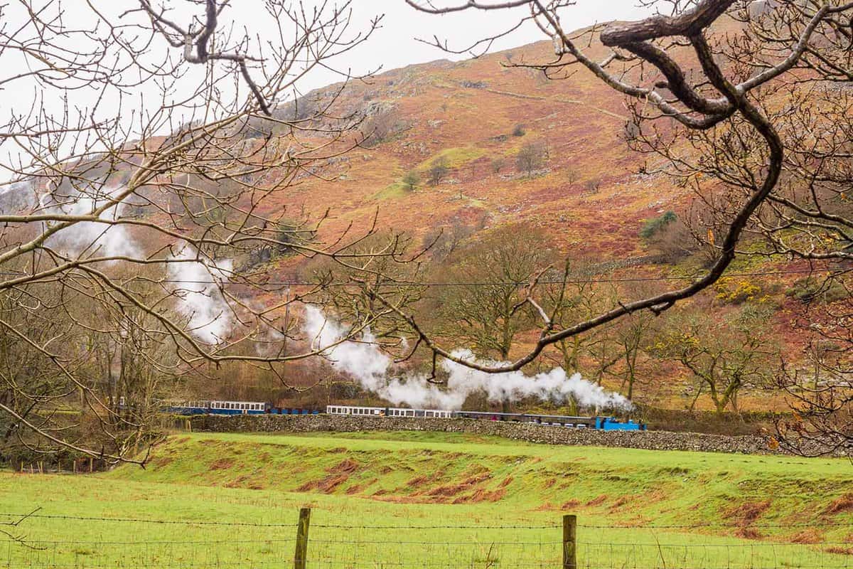 Steam train puffing through countryside