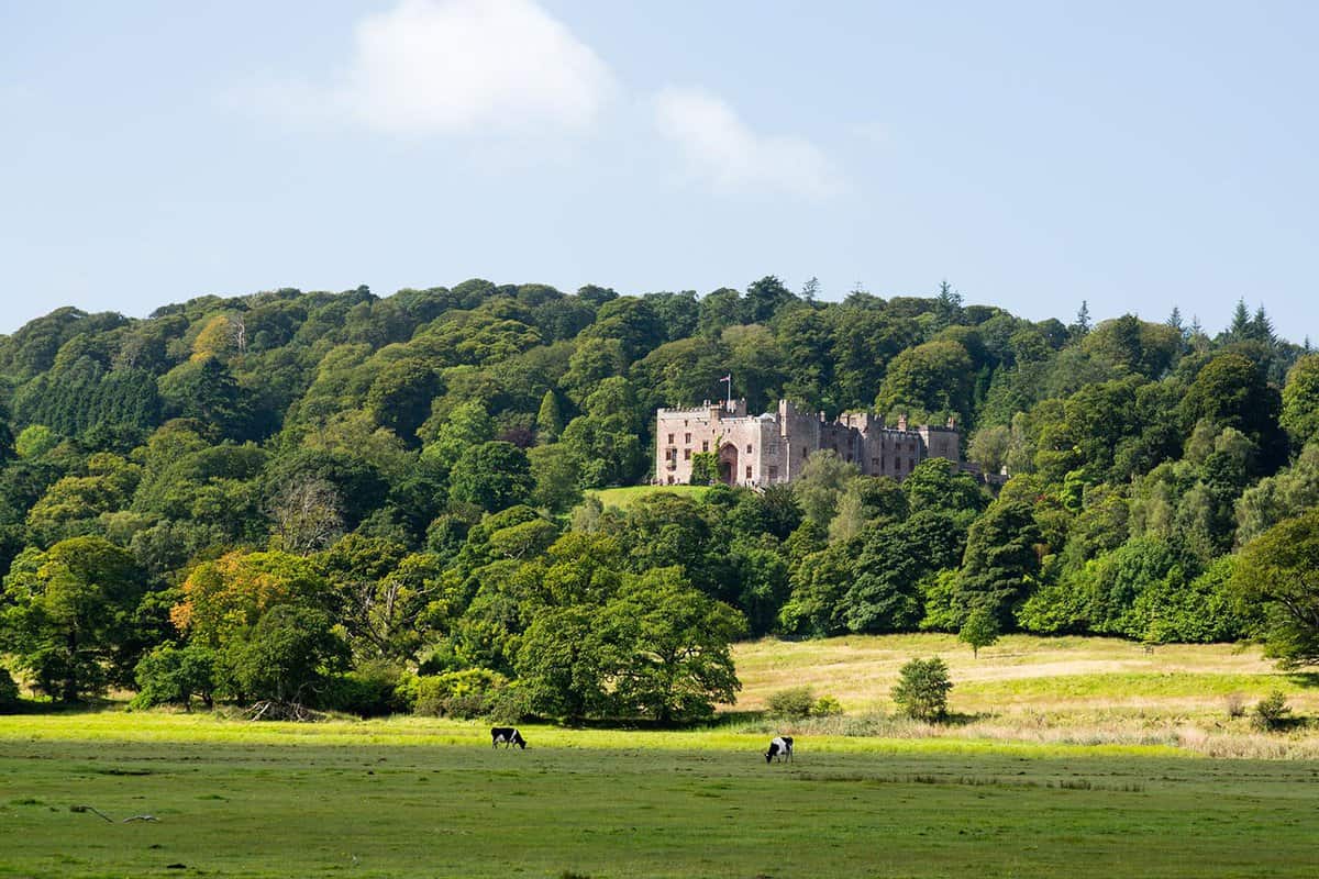 Small castle hidden amid forest