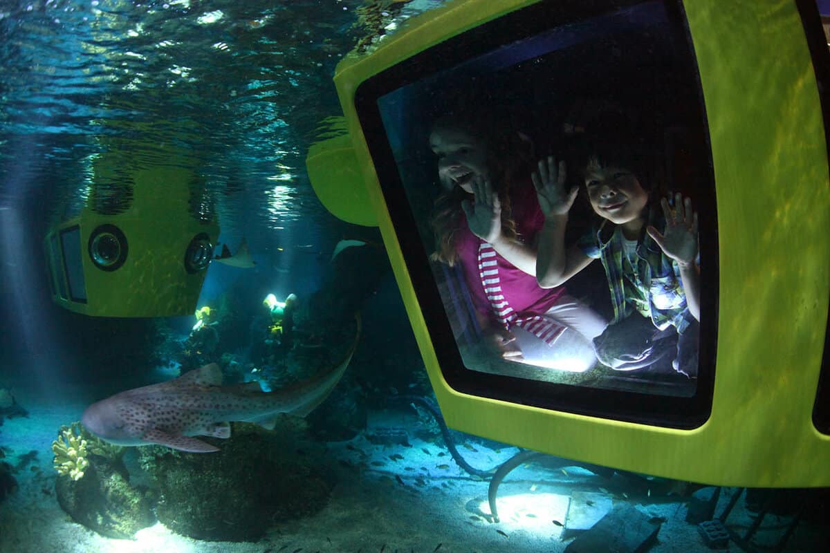Two girls on a the Atlantis Submarine Voyage, looking into the waters through the window