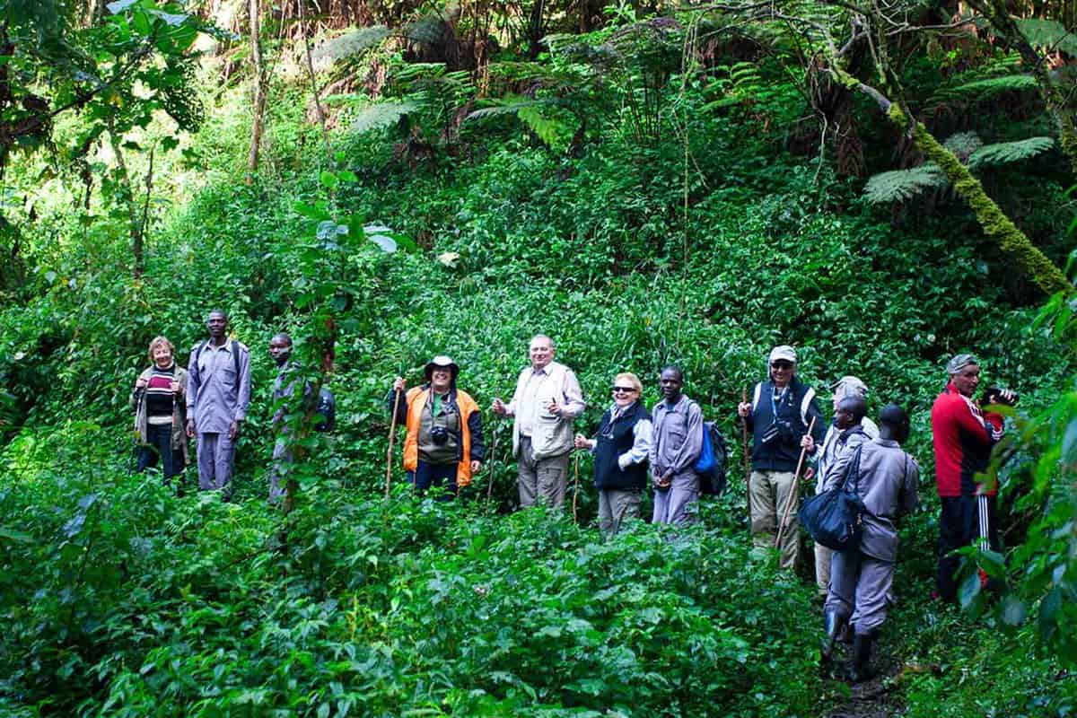 Tour group hiking in the jungle