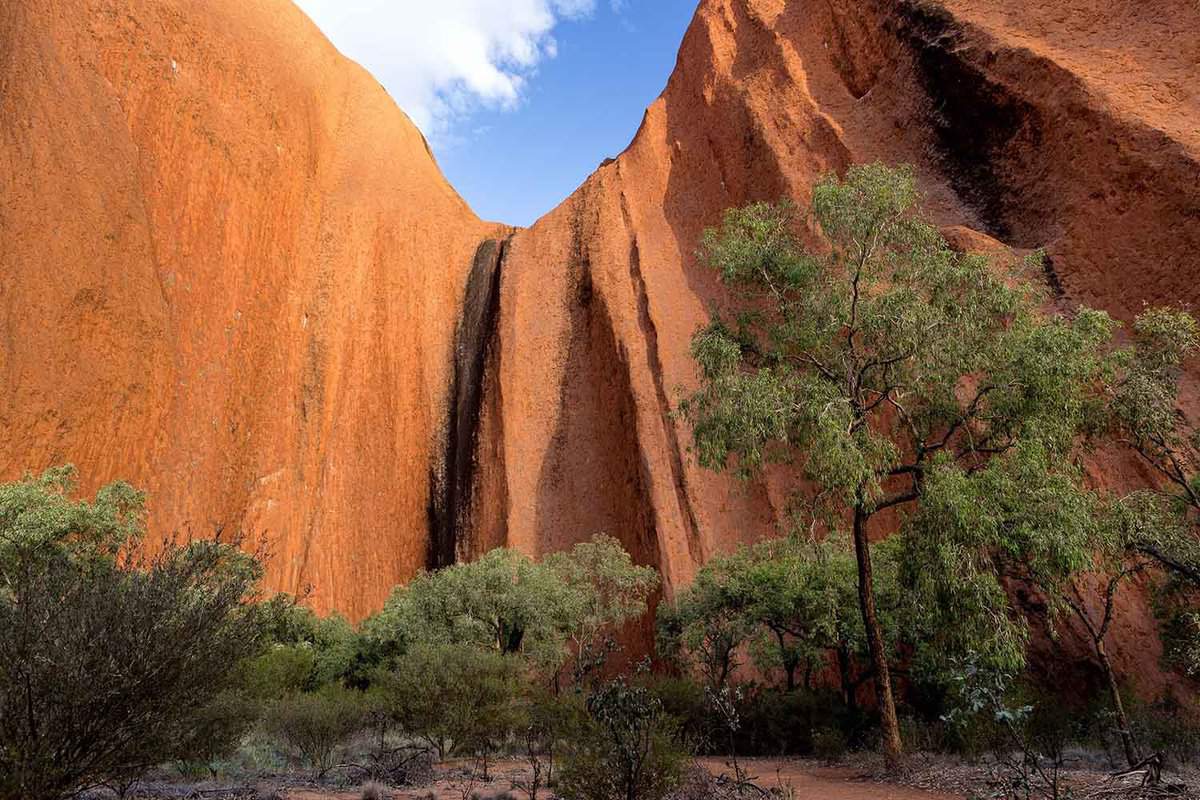 Towering red cliffs above trees