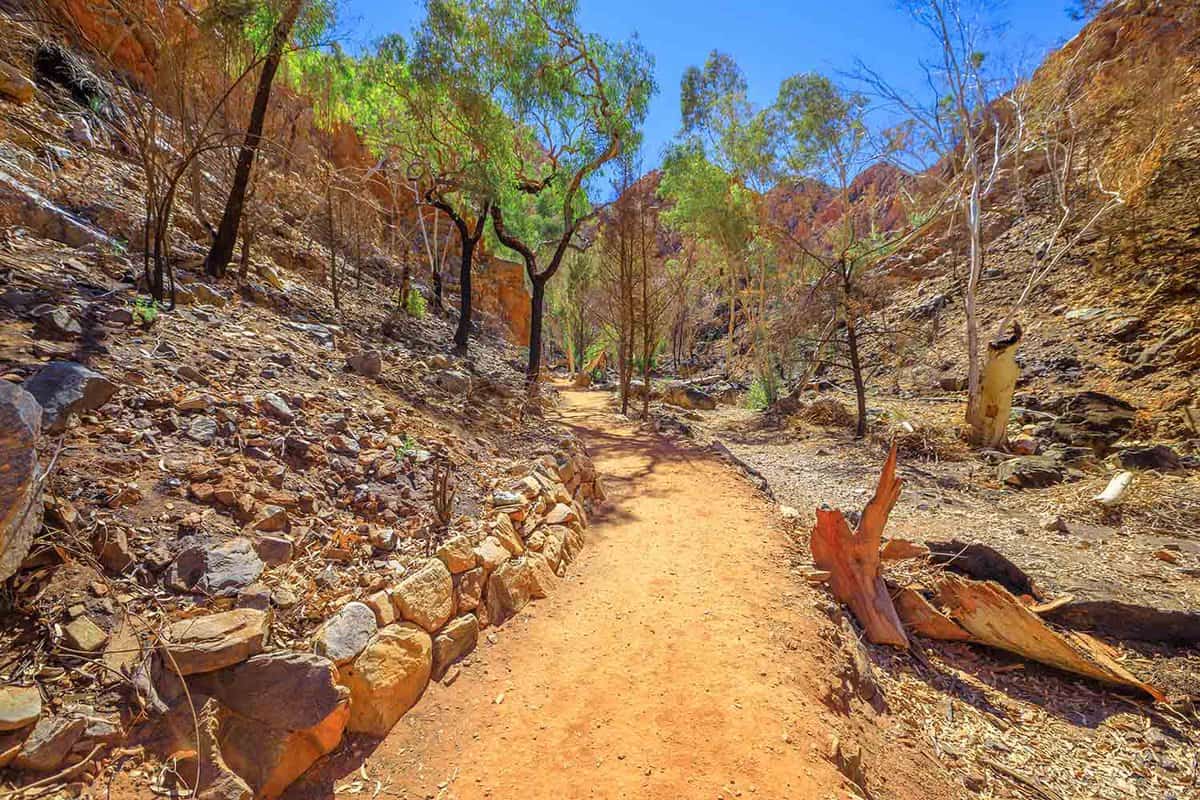 The footpath along walk trail to get to popular gorge of Standley Chasm through eucalyptus trees and rocks of West MacDonnell Ranges outside of Alice Springs, Northern Territory, Central Australia.