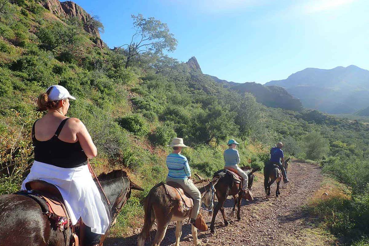 cruise passnegers horse riding down a mountain trail