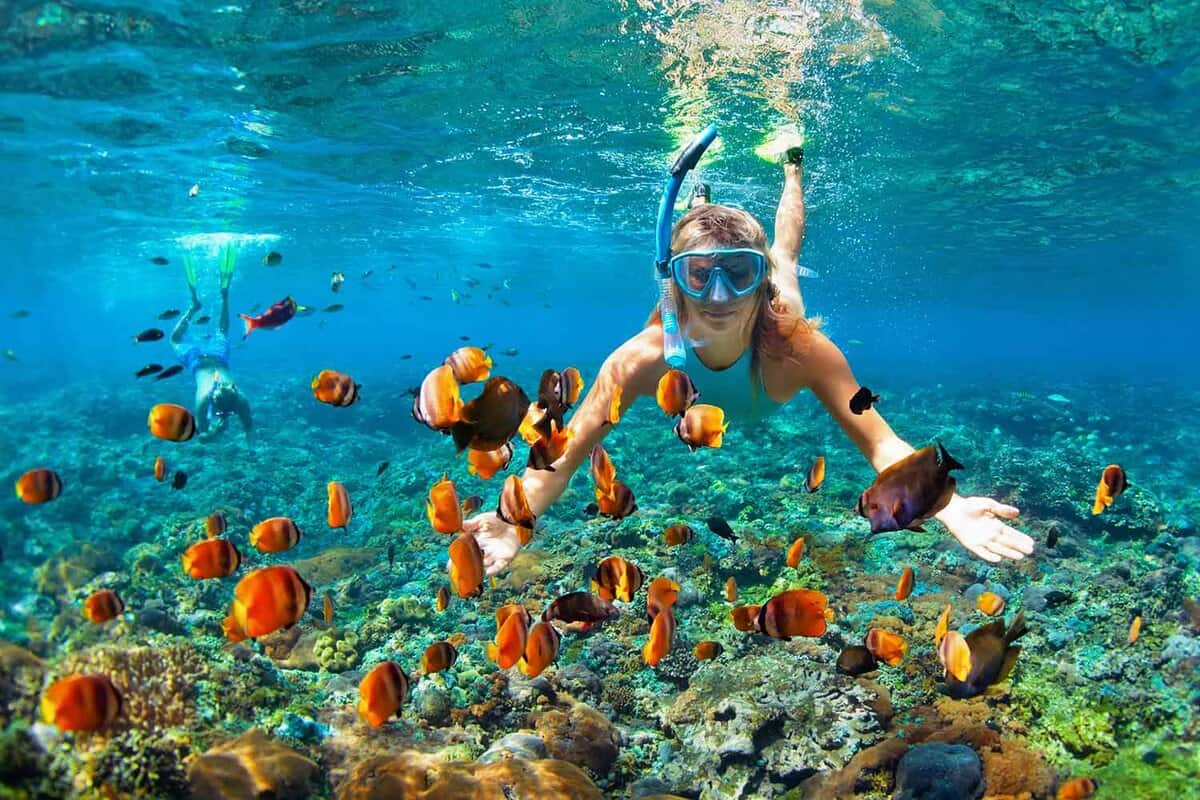 woman snorkelling on a reef with lots of small fish