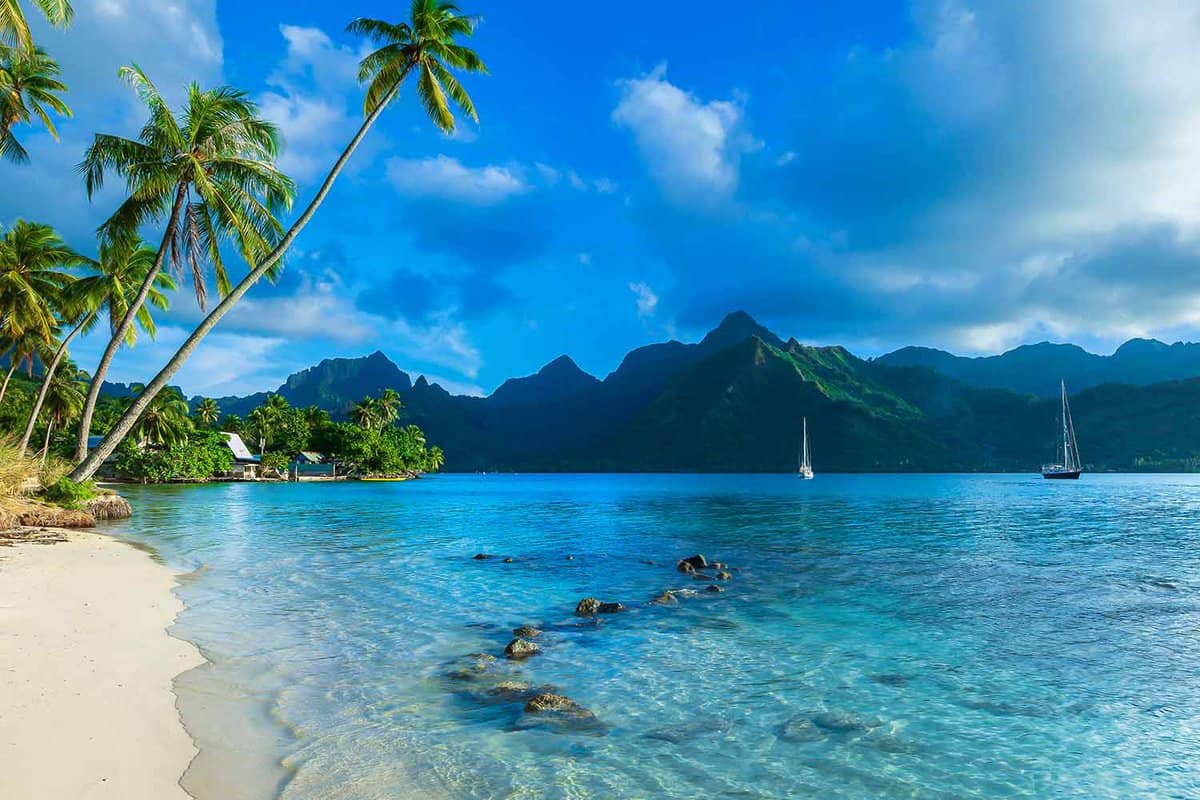 Idyllic view of beach with palm trees and blue water