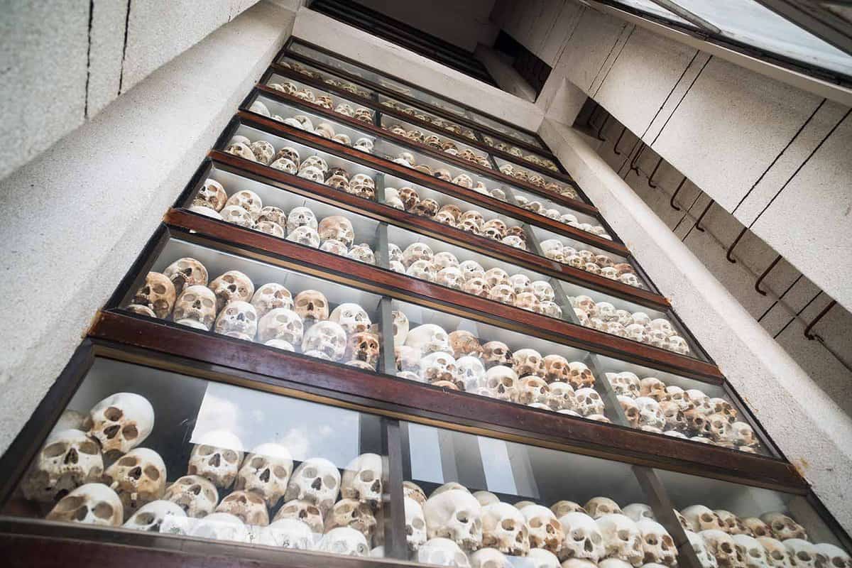 glass cabinet wall filled with skulls