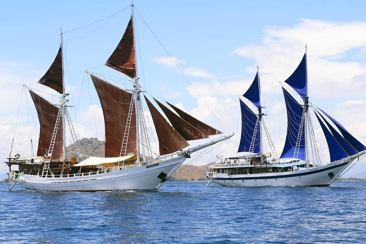 Two big sailing boats, one with blue sails one with brown sails owned by Sea Trek