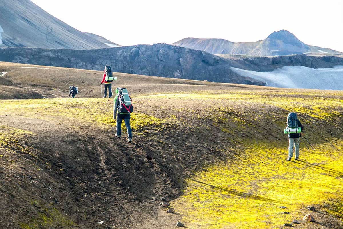 Hikers on the Laugavegur Trail landscapes