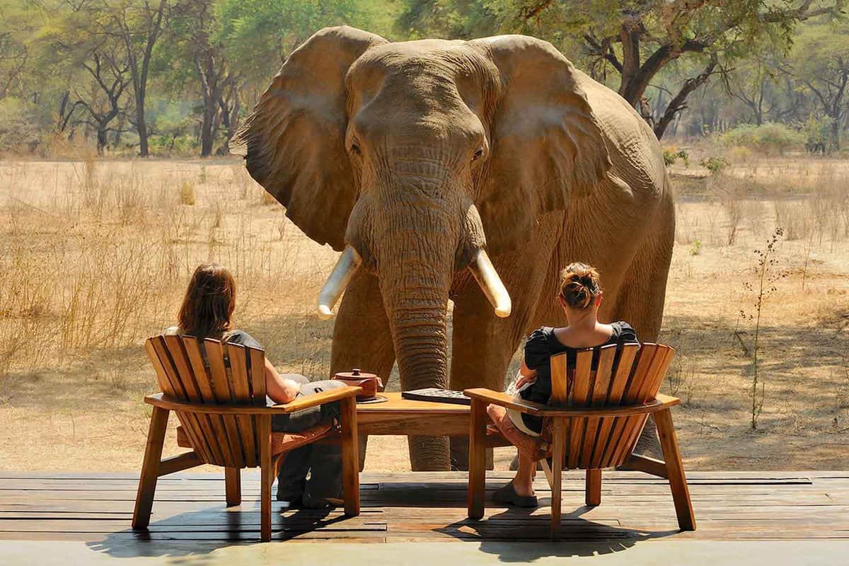 36 best safari camps and lodges for unforgettable safaris