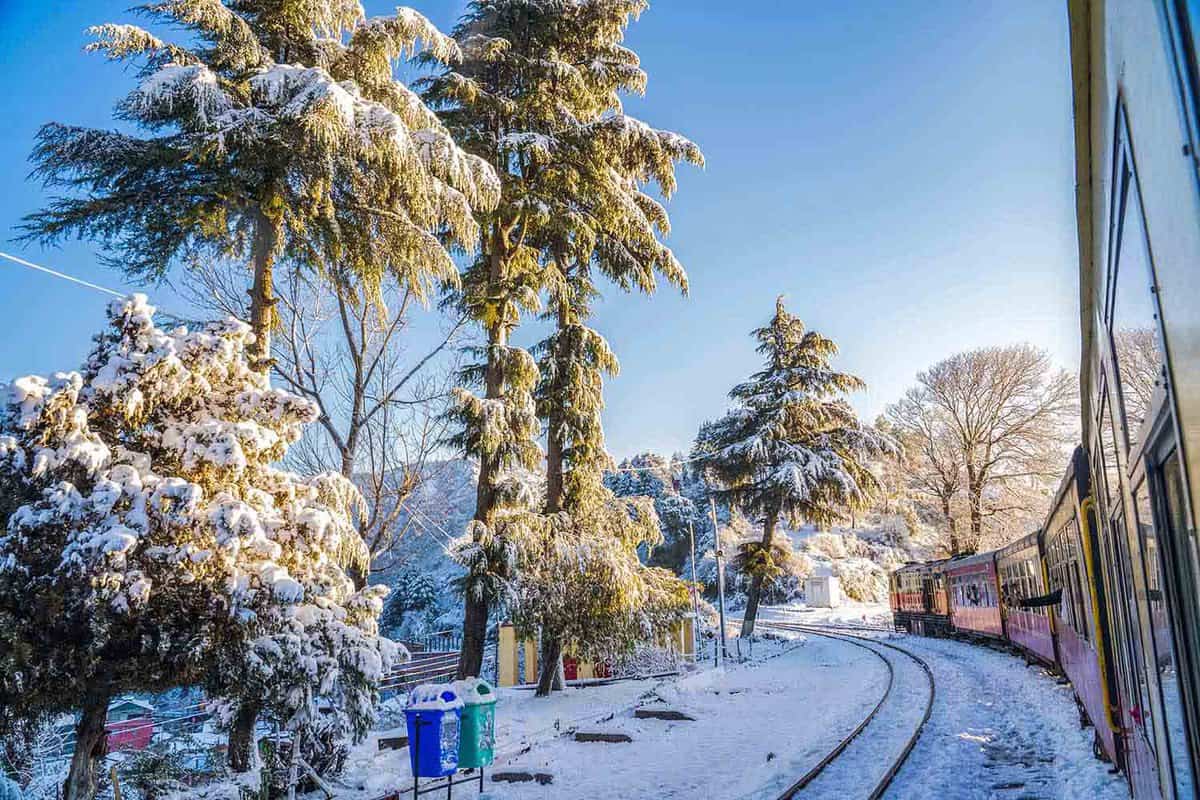 Train passing through snow-covered forests