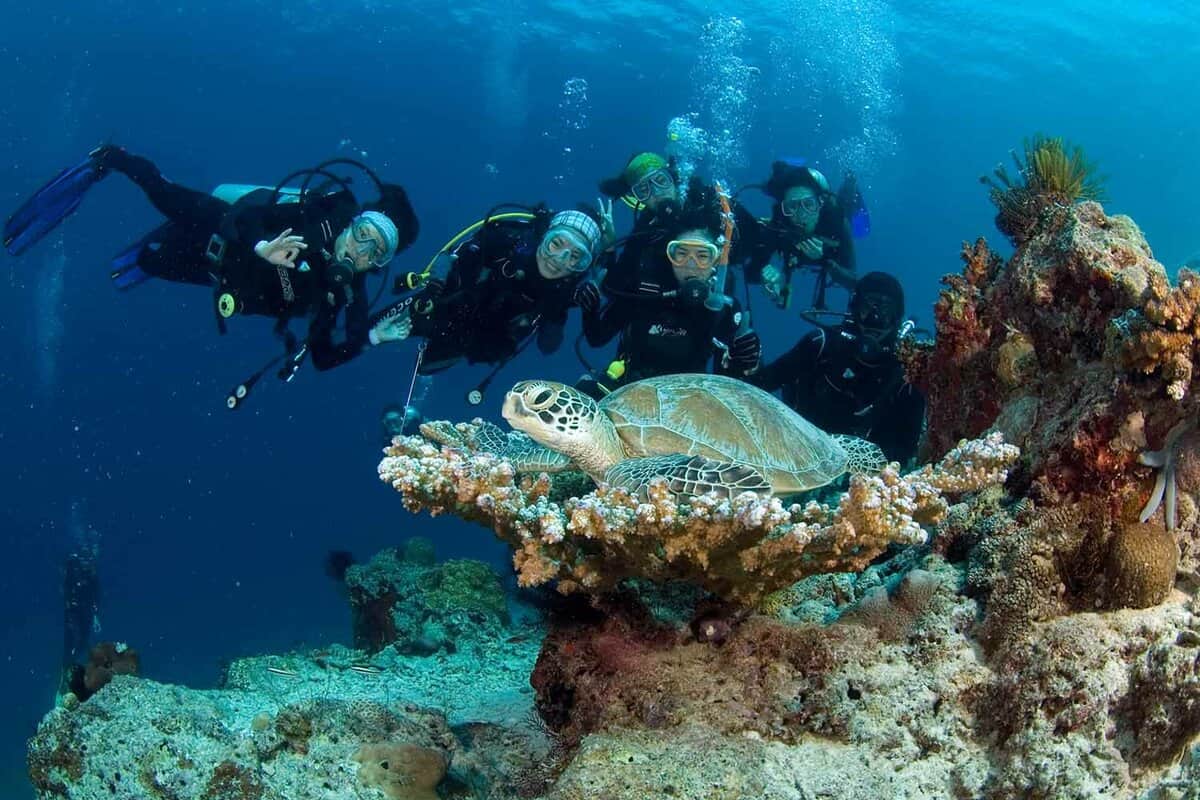 Divers taking picture with green turtle in blue waters of barracuda point dive site