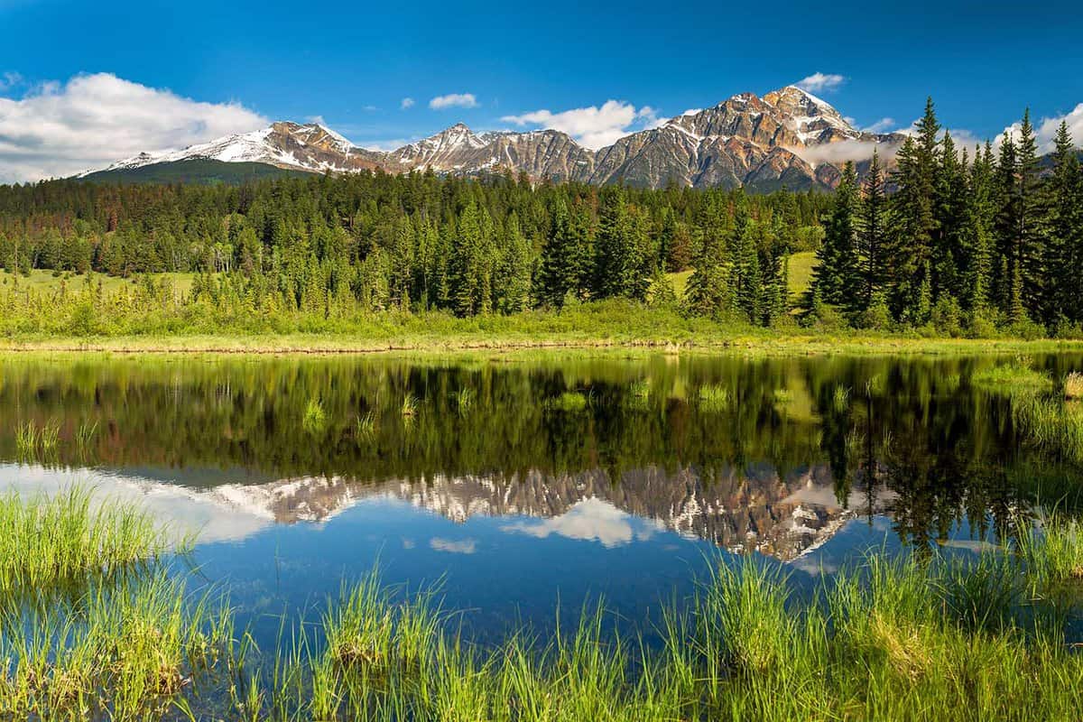 Patricia Lake is a lake in Jasper National Park, Alberta, Canada, near the town of Jasper. It was named for Princess Patricia of Connaught, a granddaughter of Queen Victoria
