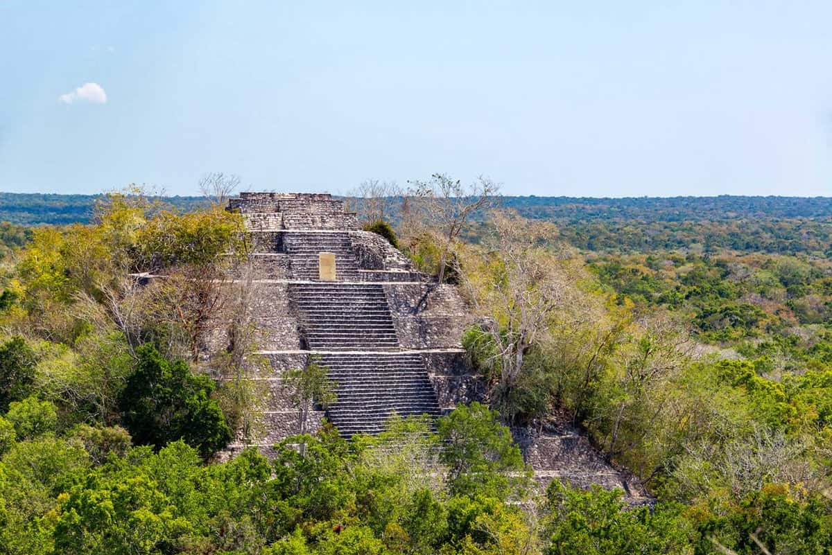 Close up fo the temple top, above the canopy